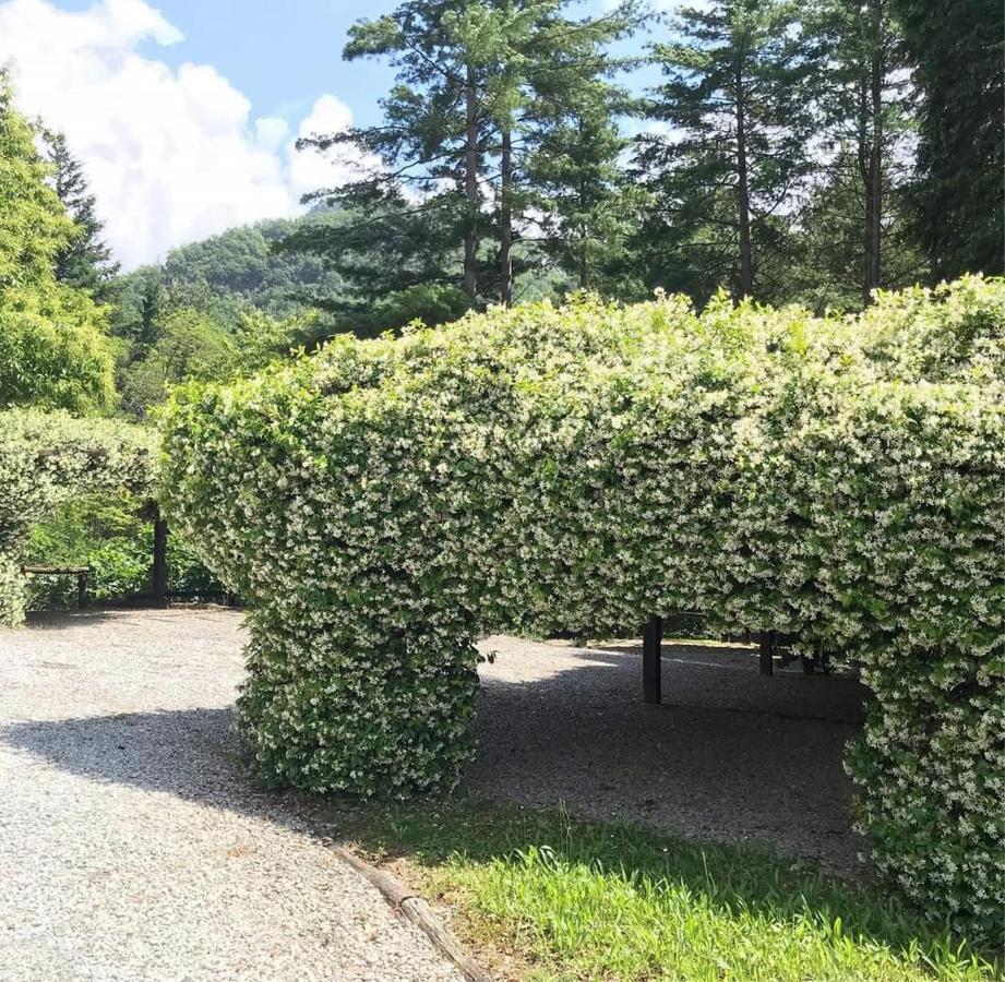 Il Bosco Di Campo Marzano Garden Apartments Борцонаска Экстерьер фото