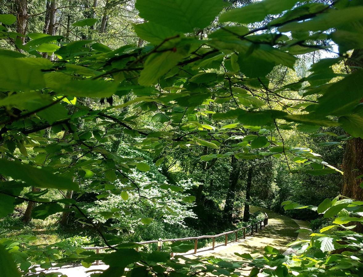 Il Bosco Di Campo Marzano Garden Apartments Борцонаска Экстерьер фото
